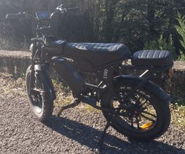 LM FatBikes image 1