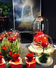 Fleurs et Tendances image 8