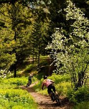 Infinity Bike Shop GmbH Bild 3