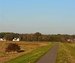 Super Hundeurlaub Bild 10