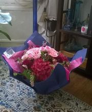 Marie Paolini image 8