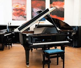 W. Hoffmann (By C. Bechstein Europe) sind eine preisliche alternative zu den Academy Instrumenten der C. Bechstein Manufaktur.