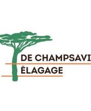 DE CHAMPSAVIN ELAGAGE image 2