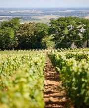 Prosper Maufoux image 6