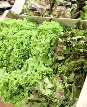 O Bio Nature Et Vie image 14