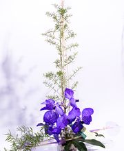 Silvia Jonas Blumen & Kunst Bild 3