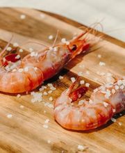 Llum i Sal imagen 11