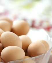 Holiday Inn Express Zürich Airport by IHG Bild 11