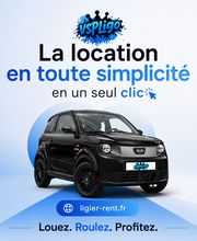 Ligier Store VSP Ligo image 3
