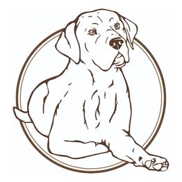 KnowWau Mobile Hundeschule