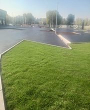 NEXT MILESTONE, SL imagen 3