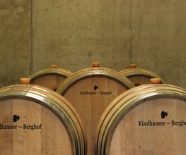Kindhauser – Berghof Bild 7
