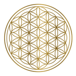 Gerne helfe ich Ihnen, den tiefen, systemischen Stress, der Ihren Körper, Geist, Ihr Leben und Ihr Nervensystem beeinflusst, zu identifizieren und zu lösen – damit Sie an der Wurzel heilen, innere Harmonie wiederherstellen und zu einem Leben voller Vitalität, Klarheit und Stärke zurückkehren können. Therapeutische Hypnose kombiniert mit körperbasierten Techniken und Prinzipien der Chinesischen Medizin, um gespeicherten Stress zu lösen, das autonome Nervensystem auszugleichen und die natürliche Heilung zu aktivieren. Personalisierte Anleitung, einschliesslich Herzfrequenzvariabilitäts-Tools, Ernährungs-Insights und Körper-Geist-Integrationspraktiken – zur Aufrechterhaltung langfristiger Vitalität und innerer Stabilität.