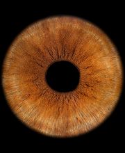 Müller Optik AG Bild 12