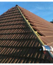 Robin Sébastien image 6