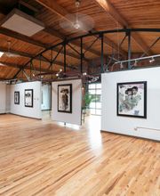 Gallery 1261 image 18