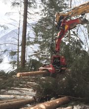 Urs Amstutz Entreprise Forestière Bild 3