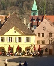 Freiburg-Guide Bild 3