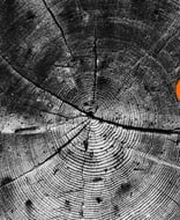 EQT Partners AG Bild 2