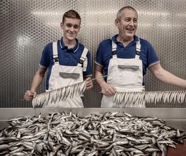 Fischfachgeschäft Seeperle Wismar Bild 11