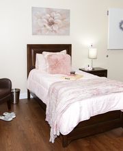 Renaissance of Annandale image 10