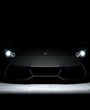 A.P.F. electronic performance immagine 1