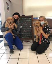 Crawfordsville Family Vet image 18