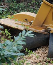 Manfred Merkl Bild 1