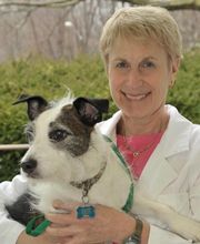 South Putnam Animal Hospital image 1