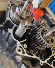 Old Skull Motors image 3