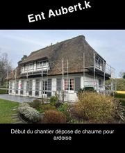 Ent Aubert K image 13