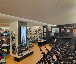 Bike Jucker Bild 5
