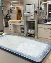 West Park Animal Hospital image 13