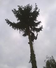 Les 4 Saisons image 15