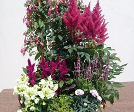 Saveurs Florales image 1