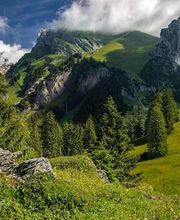 Naturfotograf - Photo-Martin - Fotograf in Chemnitz