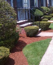 MAS Landscaping & Snow Removal image 12