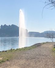 Alpha Taxi Services image 17