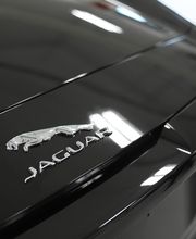 Fine Auto Detailing image 3