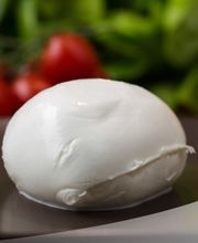 Gallery Professionale