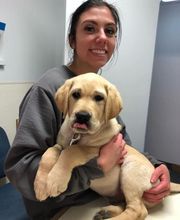 Associated Veterinary Services image 16