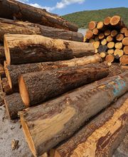 Environnement Bois Energie image 4