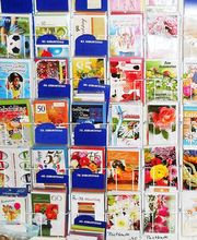 Drechsel Büromaschinen Bild 2