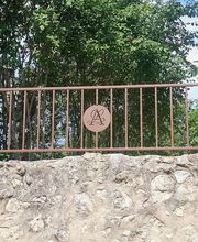 Moran Robert Jean-Philippe image 13