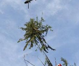 Fuchs Helikopter AG Bild 2