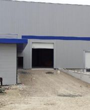 Shad Peinture image 10