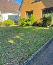 BSG Baumpflege Service Gärtner Bild 6