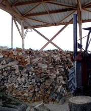 Mollier Bertrand image 5