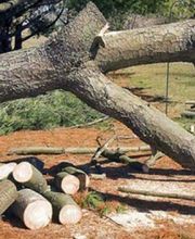 Lecoq Frères SARL image 1