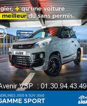Voiture Sans Permis image 13